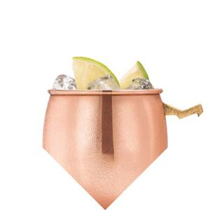 Sur La Table Copper Mug